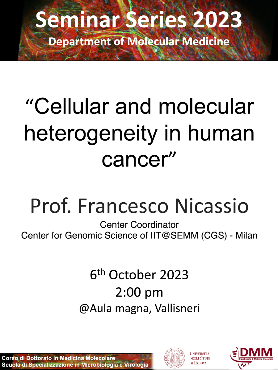 Prof. Nicassion Flyer