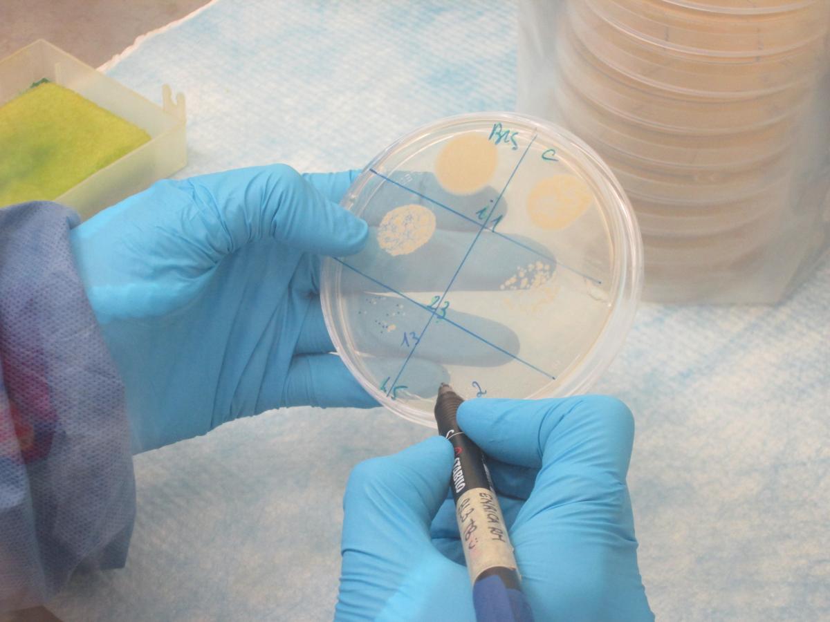 Riccardo Manganelli team Mycolab