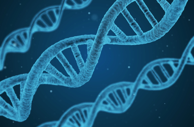 Collegamento a Doppia elica del DNA: origini e sviluppi di una scoperta