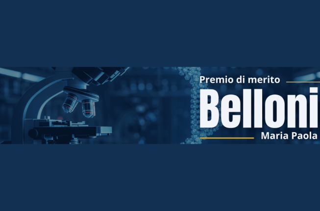Collegamento a Premio di merito 'Maria Paola Belloni'
